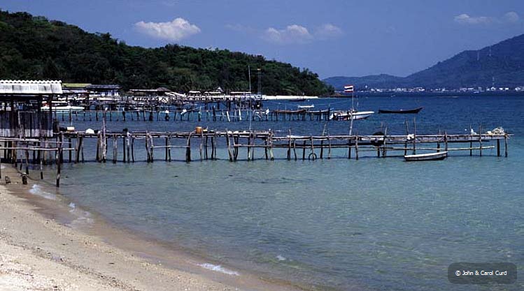 J0104.jpg