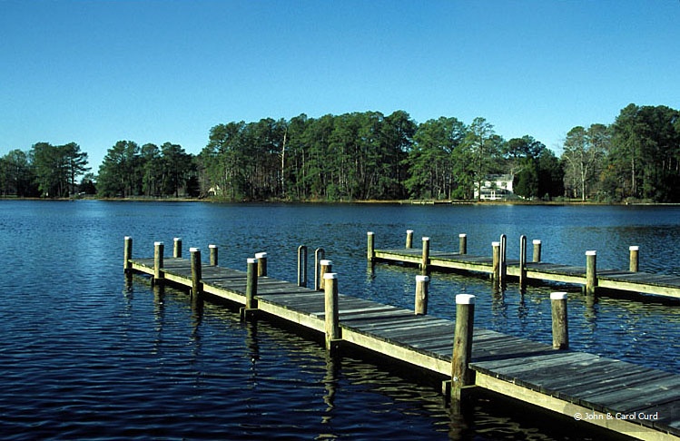 C0004.jpg