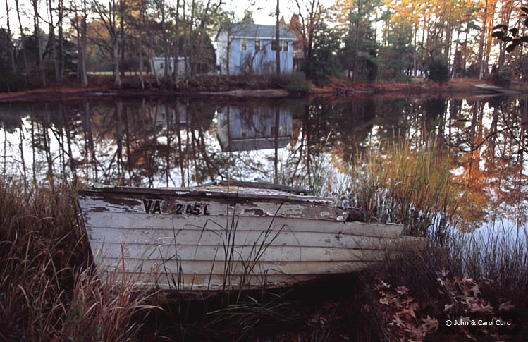 C0015.jpg