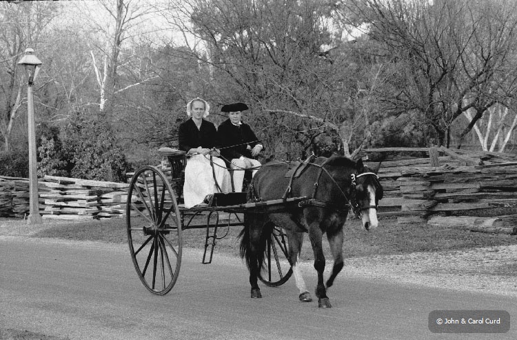 Carriage.jpg
