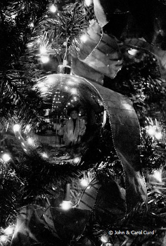 ChristmasTree.jpg