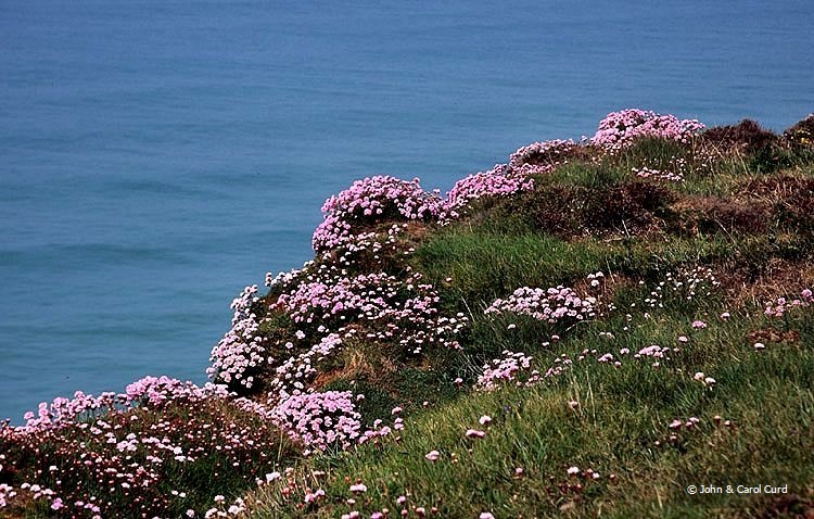 C0008.jpg