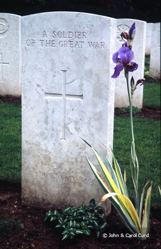 JA0005.jpg