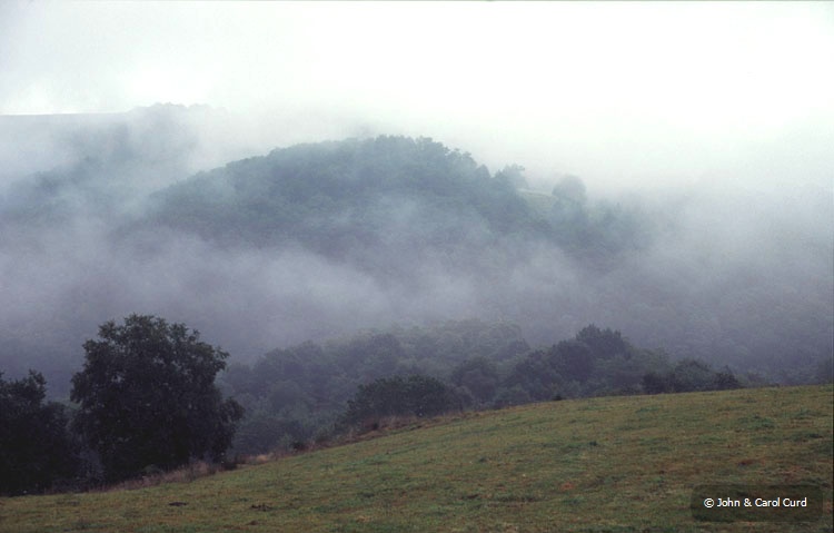 C0012.jpg