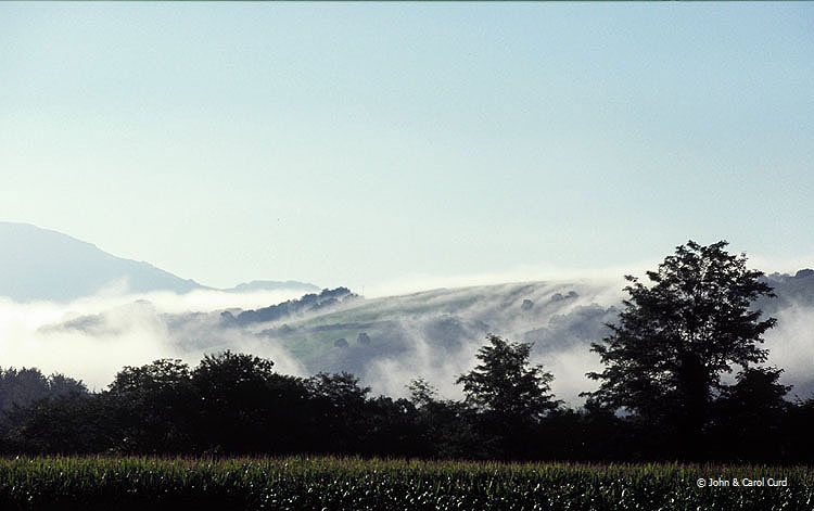 C0013.jpg