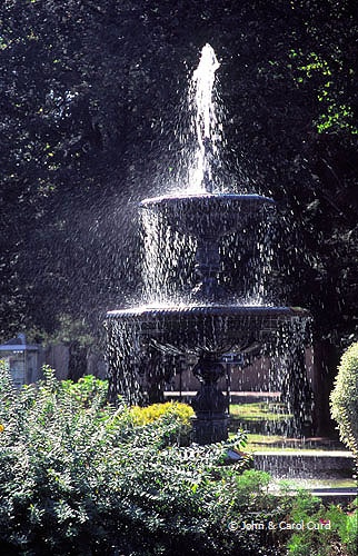 J0022.jpg
