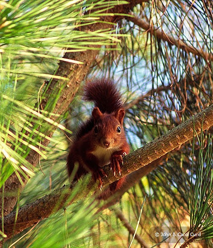 J0042-crop.jpg