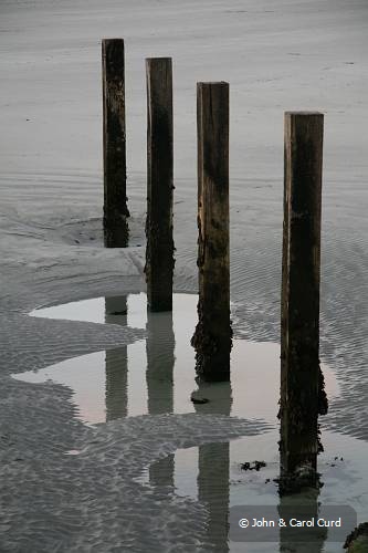 C0080.JPG