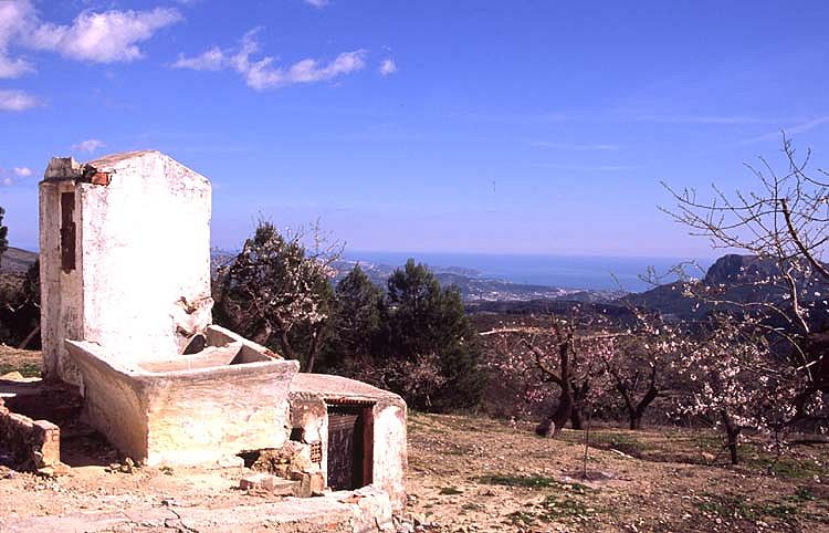 C0009.jpg