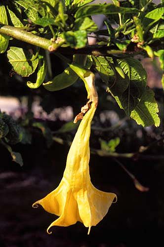 J0020.jpg