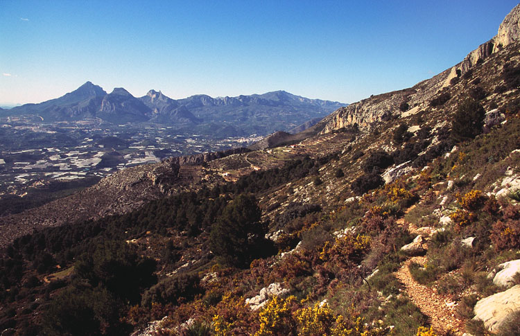 J0010.jpg