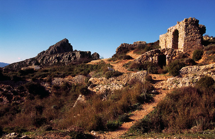 J0011.jpg