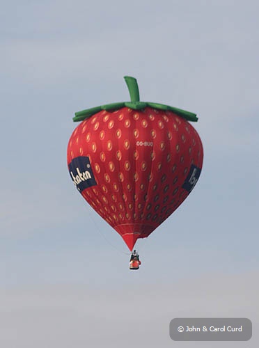 J0016.JPG
