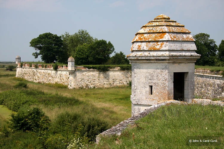 J0036.jpg