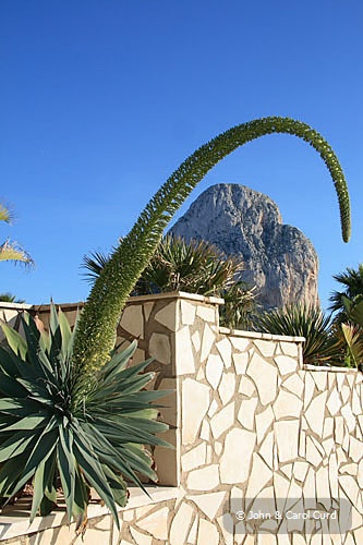 Calpe.jpg