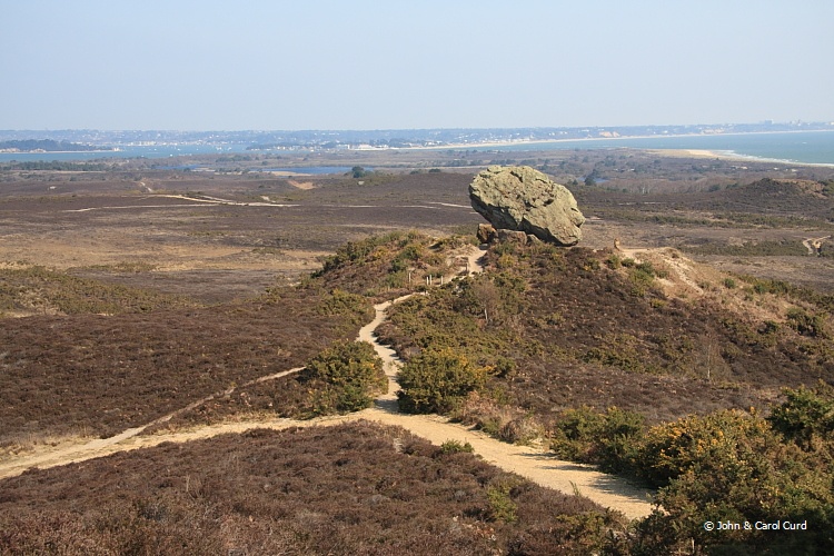 IMG_4584.JPG