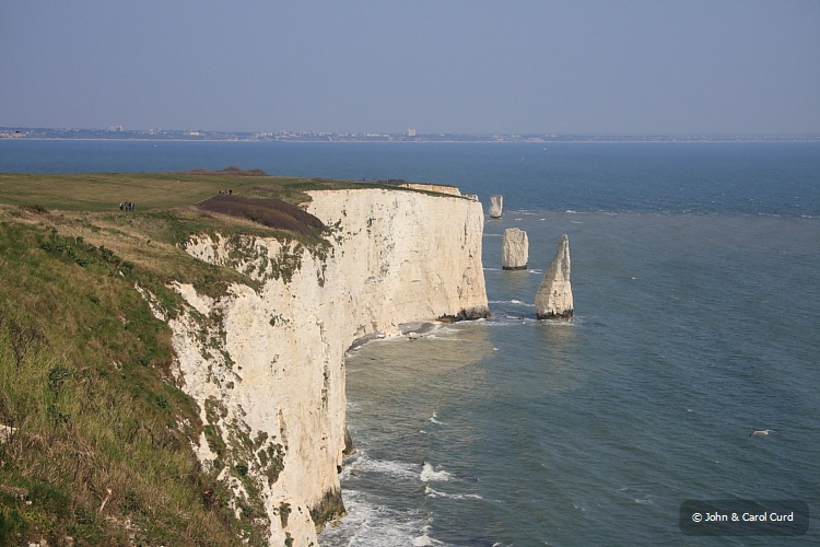 IMG_4588.JPG