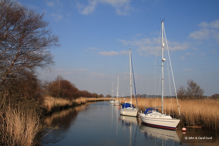 IMG_5771.JPG