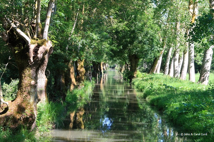 IMG_6285_Marais.JPG