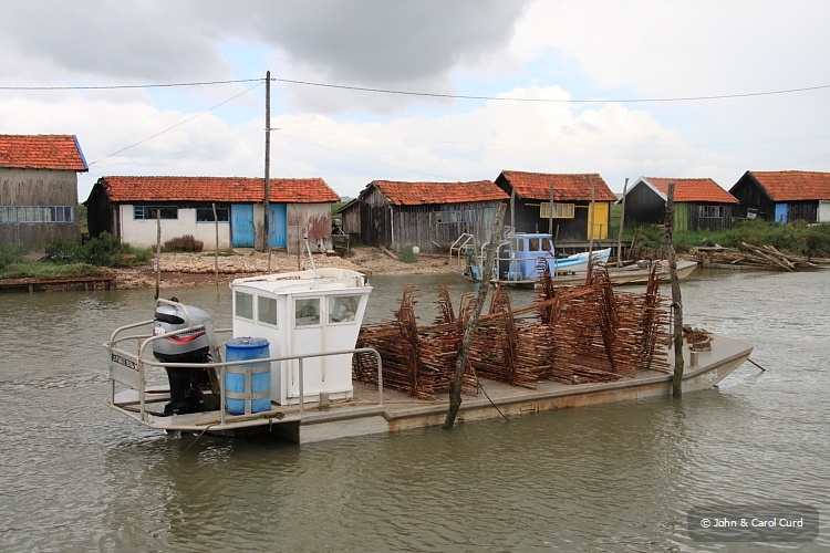 IMG_6414_La_Tremblade.JPG