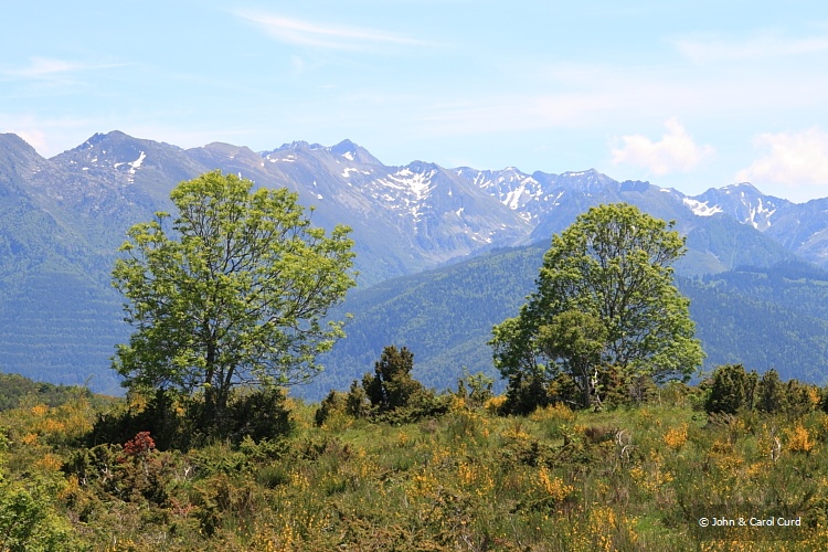 IMG_6644_Pyrenees.JPG