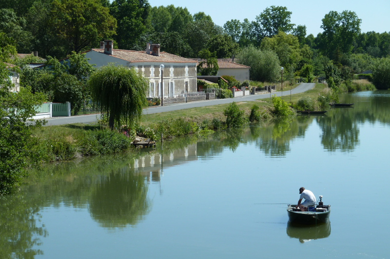 P1010168_Marais_Poitevin.JPG