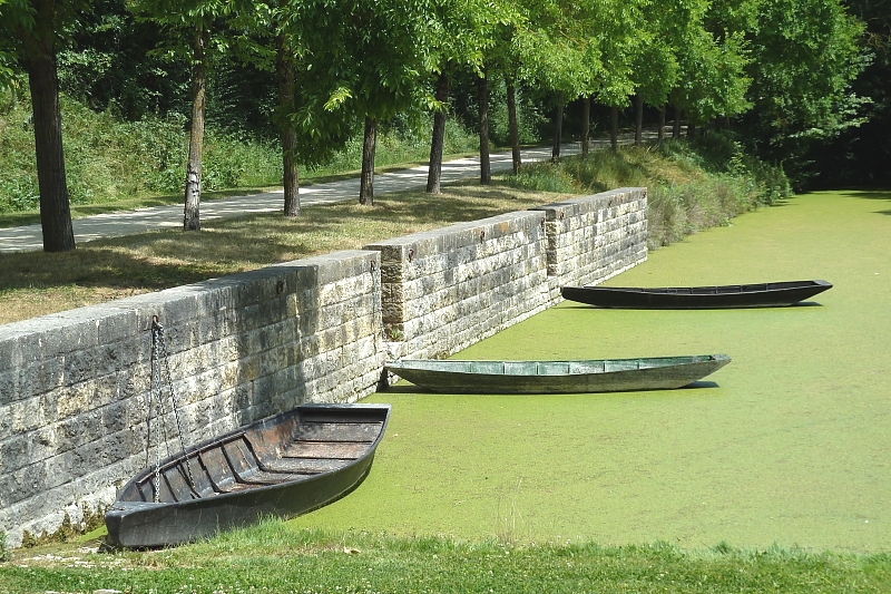 P1010182_Marais_Poitevin.JPG