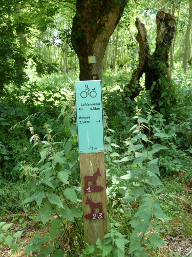 P1010185_Donkey_routes.JPG