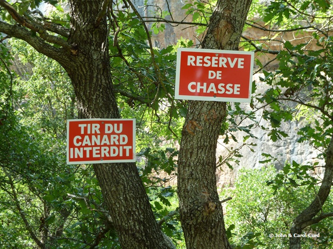 P1010475.jpg