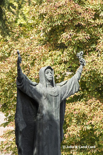_MG_6793.jpg