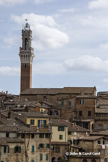 _MG_6798.jpg