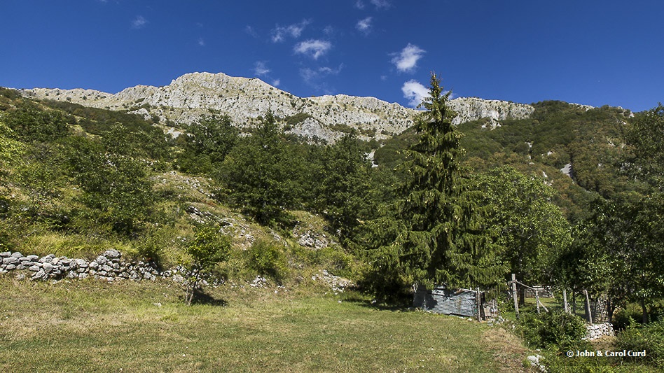 Untitled_Panorama3.jpg