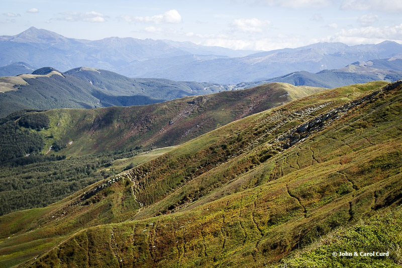 _MG_6638.jpg