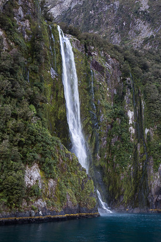 _17C9492.jpg
