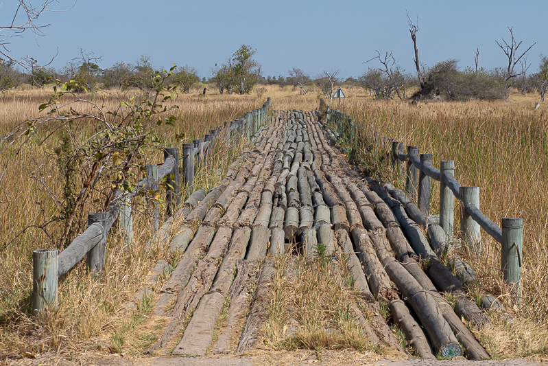 Bridge engineering-2.jpg