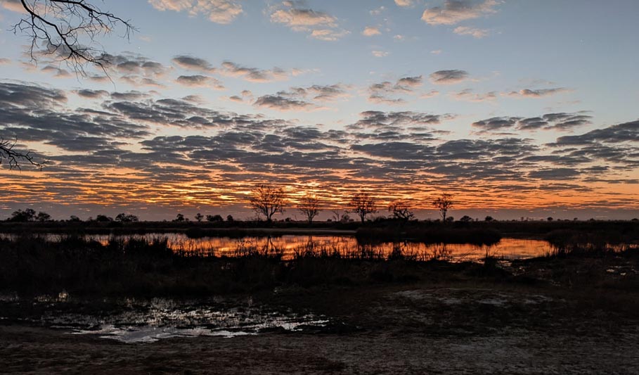 Hippo pool sunrise.jpg