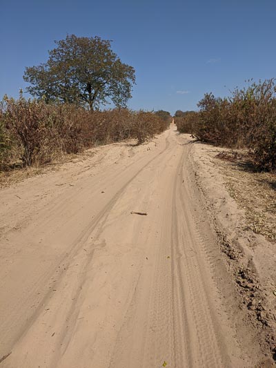 Road to Savuti.jpg