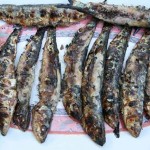 grilledharmonicas.jpg