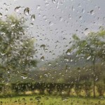 wetwindow.jpg