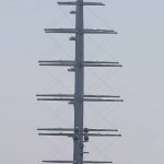 maltesefalconfront.jpg