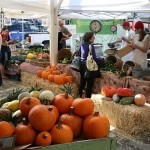 pointreyesfarmersmarket.jpg