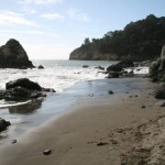 theedgeofmuirbeach.jpg