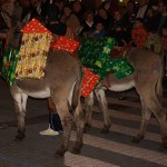 3kingsdonkeys.jpg