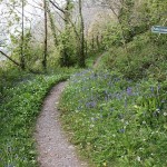publicfootpath.jpg