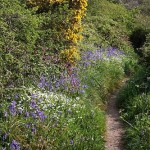 springcolour.jpg