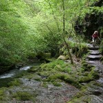 carolinlydfordgorge.jpg