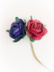 Z20 Miniature roses